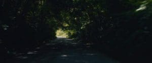 All Creatures Here Below 2018 Full Movie Download Free HD 720p