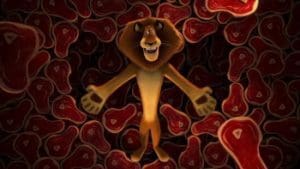 Madagascar 2005 Full Movie Download Free HD 720p