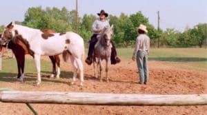 The Dallas Connection 1994 Full Movie Download Free HD 720p