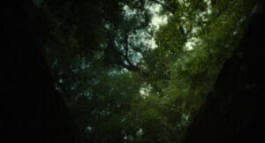 The Exorcist Believer 2023 Full Movie Download Free HD 720p