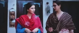 Saunkan Saunkanay 2 2025 Full Movie Download Free Camrip [Punjabi]
